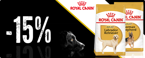 15 % rabatt på hundfoder från Royal Canin Breed